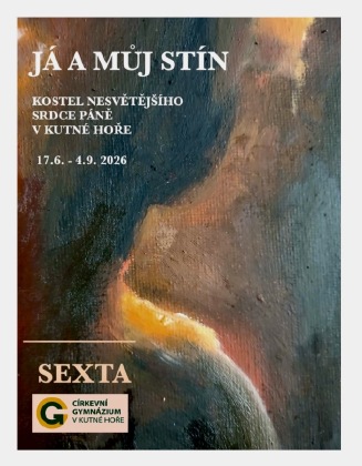 Já a můj stín